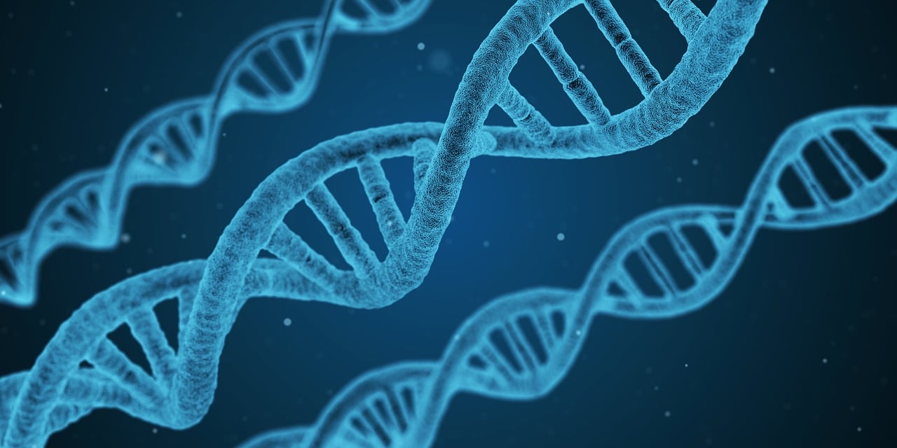 2024年澳门正版资料免费大全,科学解答解释落实_3D38.427
